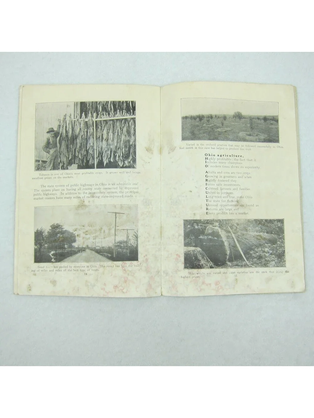 Panama Pacific International Expo Ohio Booklet Farm Agriculture Antique 1915